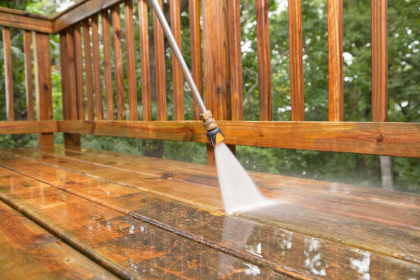 Best Gutter Cleaning  in Avon Park, FL
