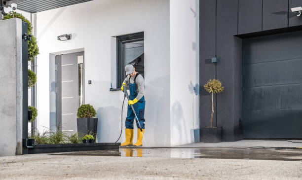 Best Fence Cleaning  in Avon Park, FL